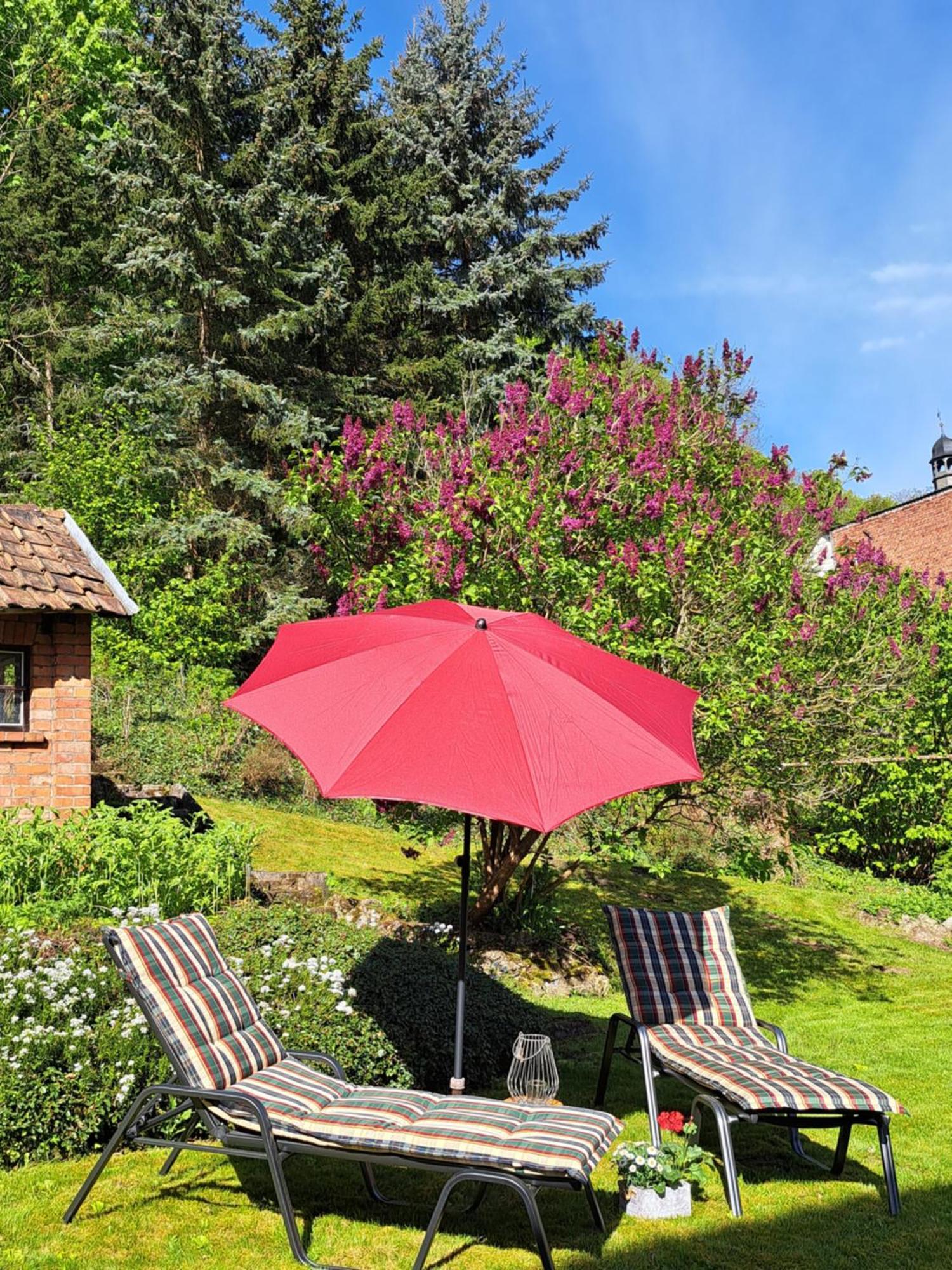 Haus Lieberum Apartment Erdgeschoss Bad Sooden-Allendorf Luaran gambar